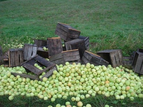 pommes